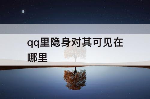 qq里隐身对其可见在哪里