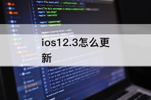 ios12.3怎么更新