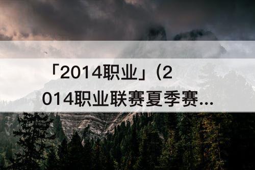 「2014职业」(2014职业联赛夏季赛)