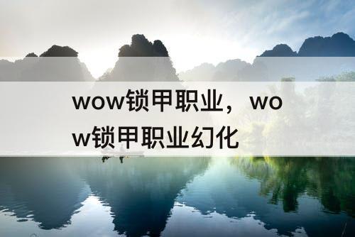 wow锁甲职业，wow锁甲职业幻化
