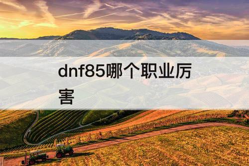 dnf85哪个职业厉害