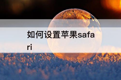 如何设置苹果safari