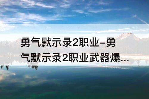 勇气默示录2职业-勇气默示录2职业武器爆率