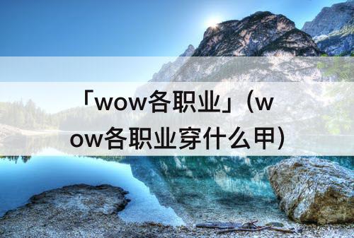 「wow各职业」(wow各职业穿什么甲)