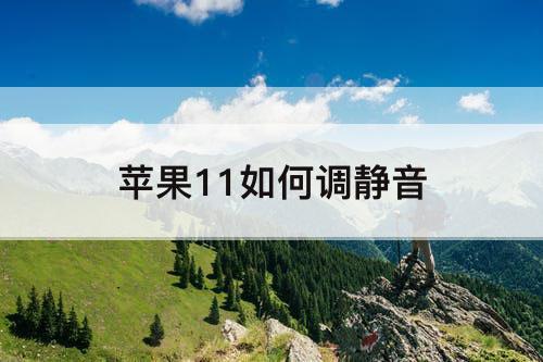 苹果11如何调静音