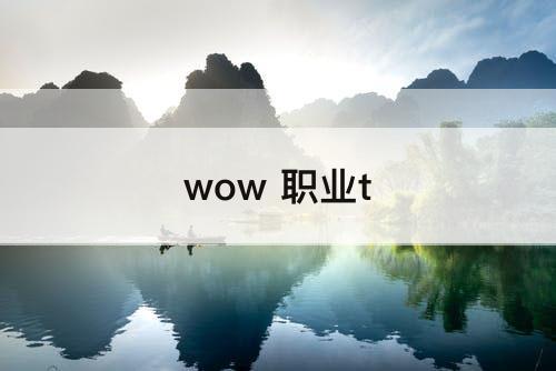 wow 职业t