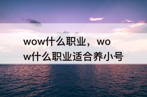 wow什么职业，wow什么职业适合养小号