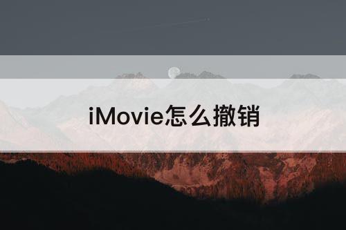 iMovie怎么撤销