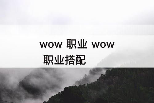wow 职业 wow 职业搭配