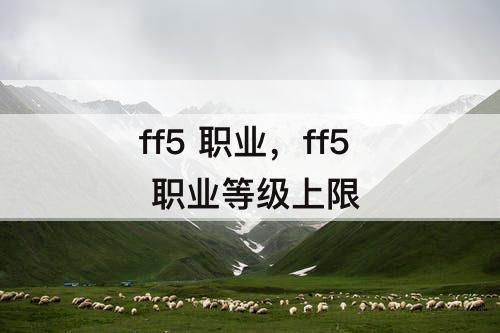 ff5 职业，ff5 职业等级上限