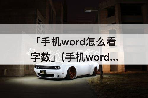 「手机word怎么看字数」(手机word怎么看字数统计)