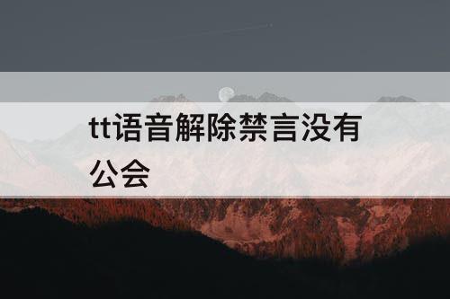 tt语音解除禁言没有公会