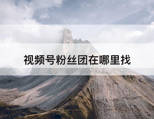 视频号粉丝团在哪里找
