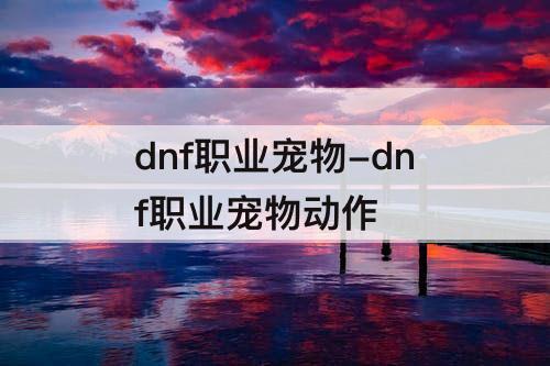 dnf职业宠物-dnf职业宠物动作