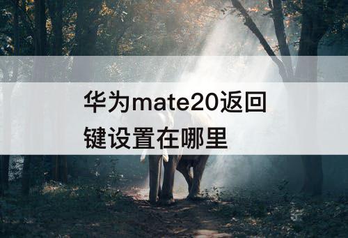 华为mate20返回键设置在哪里
