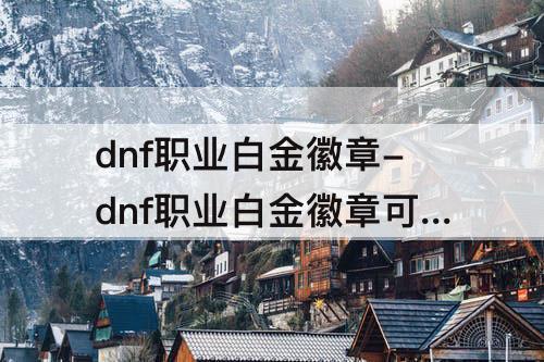 dnf职业白金徽章-dnf职业白金徽章可以打什么部位
