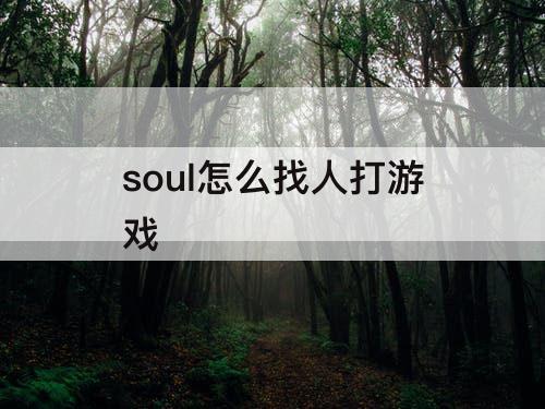 soul怎么找人打游戏