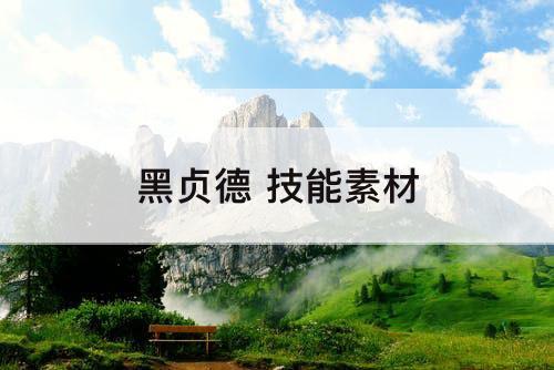 黑贞德 技能素材