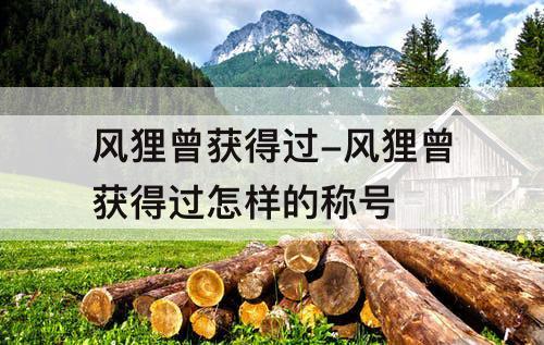 风狸曾获得过-风狸曾获得过怎样的称号