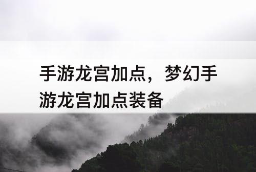 手游龙宫加点，梦幻手游龙宫加点装备