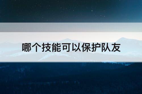 哪个技能可以保护队友