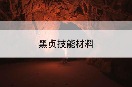 黑贞技能材料