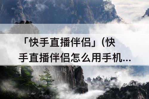 「快手直播伴侣」(快手直播伴侣怎么用手机直播)