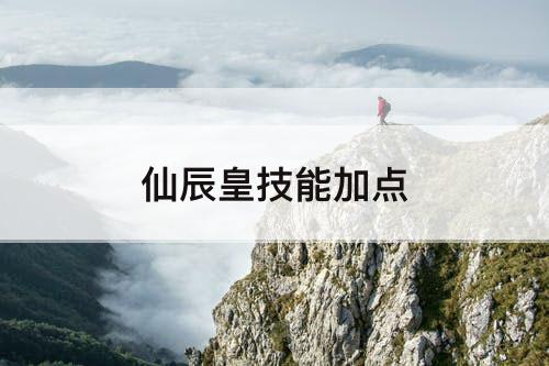 仙辰皇技能加点