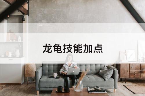 龙龟技能加点
