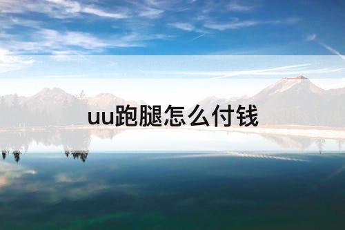 uu跑腿怎么付钱