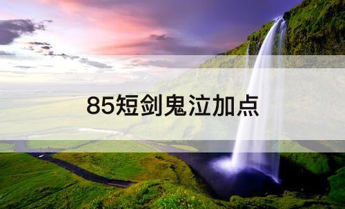 85短剑鬼泣加点