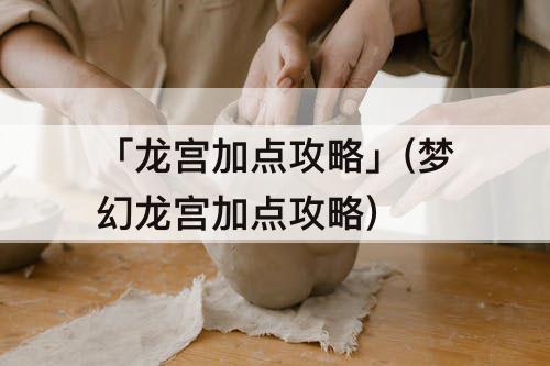 「龙宫加点攻略」(梦幻龙宫加点攻略)