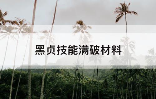 黑贞技能满破材料