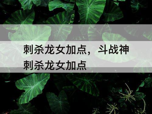 刺杀龙女加点，斗战神刺杀龙女加点