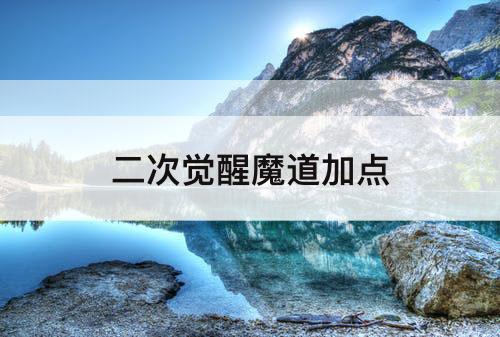 二次觉醒魔道加点
