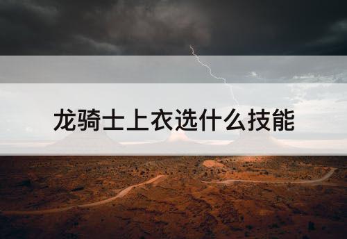 龙骑士上衣选什么技能