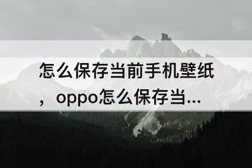 怎么保存当前手机壁纸，oppo怎么保存当前手机壁纸
