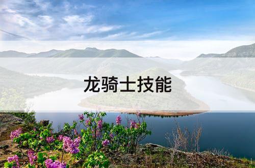 龙骑士技能