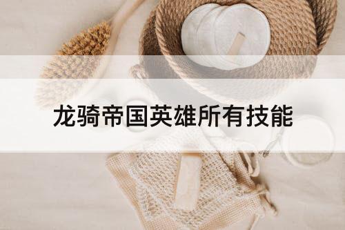 龙骑帝国英雄所有技能