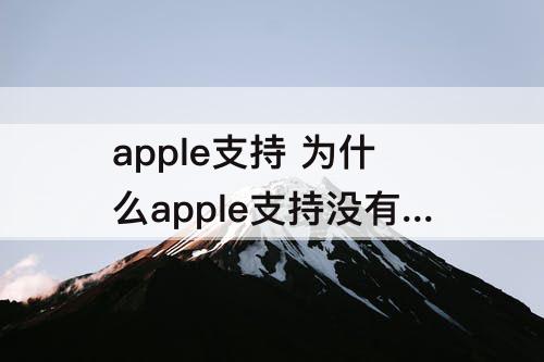apple支持 为什么apple支持没有致电