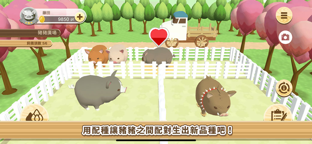 养猪场3D  v3.03图2