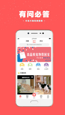 宠物王国  v4.8.5图1