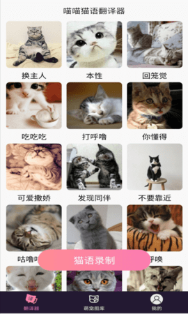 喵喵猫语翻译器  v1.0图3