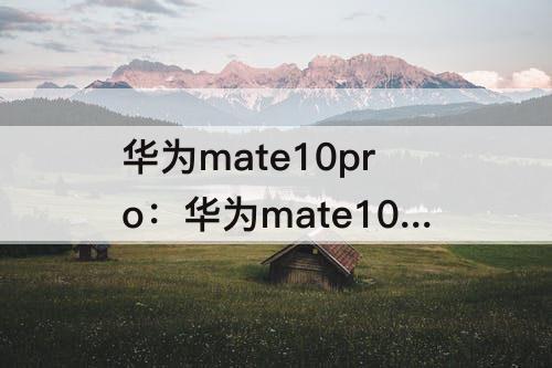华为mate10pro：华为mate10pro指纹设置在哪