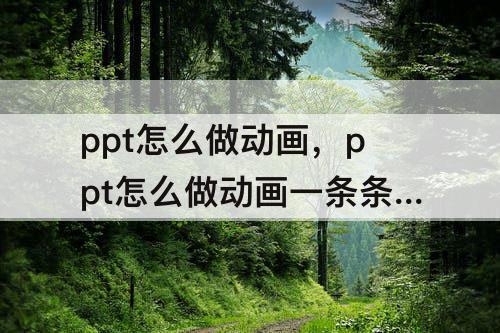 ppt怎么做动画，ppt怎么做动画一条条进入那种的