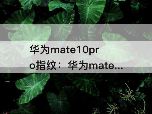 华为mate10pro指纹：华为mate10pro指纹解锁在哪儿设置
