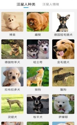 猫狗动物翻译器  v1.0.0图1