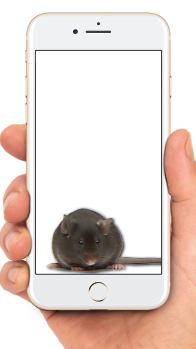 mouse on screen scary joke  v2.0图4