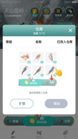 萌鸟森林  v1.0图2