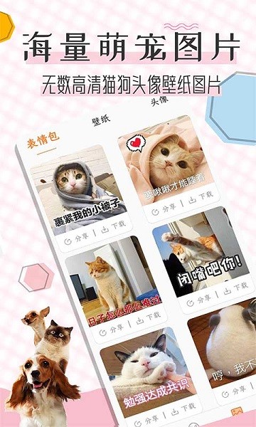 猫语翻译宝  v1.2.3图2